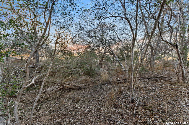 561 Barth Property Photo 34