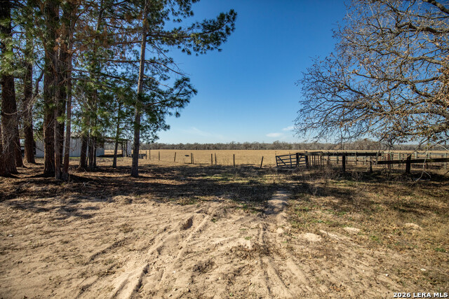 1387 County Road 304 Property Photo 4