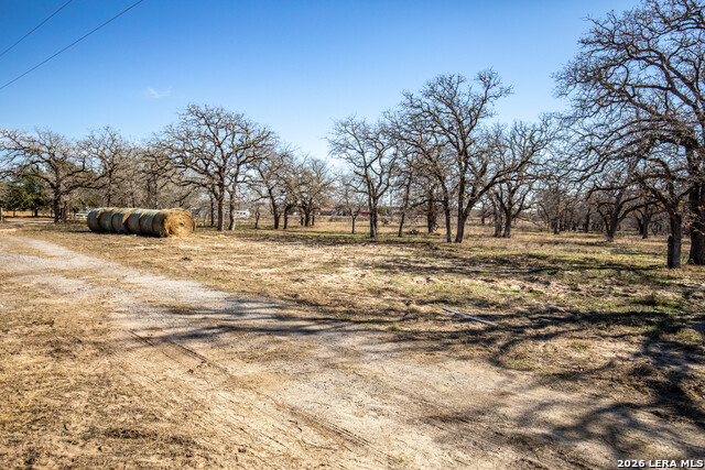 1387 County Road 304 Property Photo 6