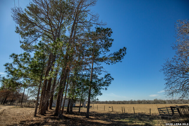 1387 County Road 304 Property Photo 15