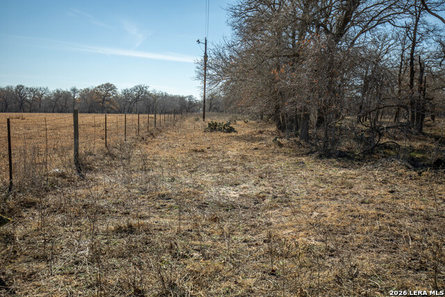 1387 County Road 304 Property Photo 42