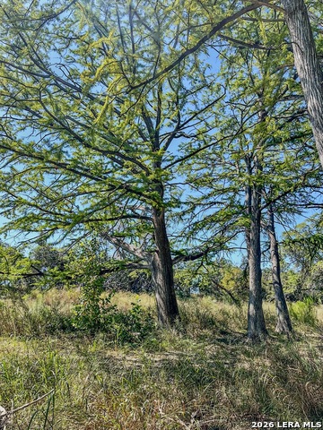 000 Ranch Rd 473 Property Photo 14