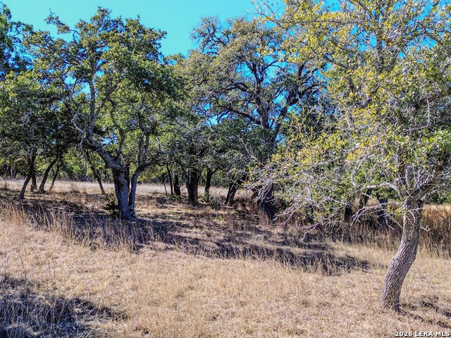 000 Ranch Rd 473 Property Photo 16