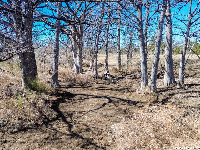 000 Ranch Rd 473 Property Photo 29