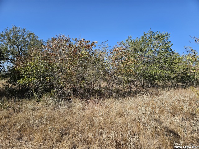 422 Pr Sunset Vista Property Photo 19