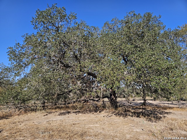 422 Pr Sunset Vista Property Photo 25