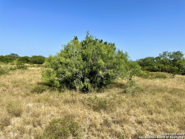 O County Road 116 Property Photo 18