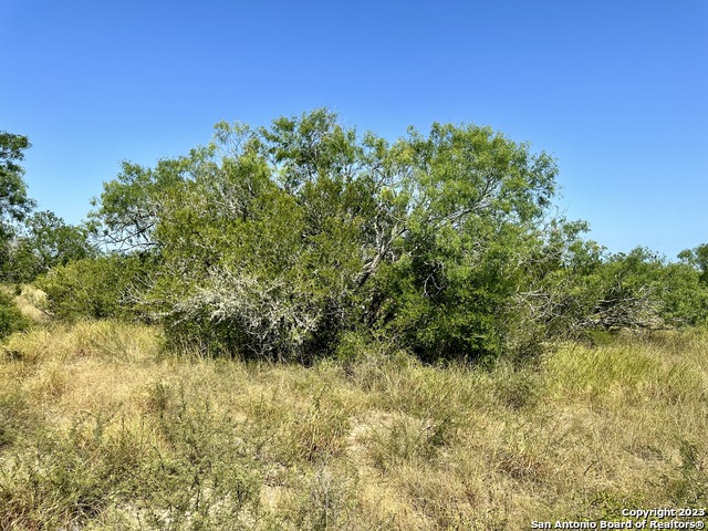 O County Road 116 Property Photo 20