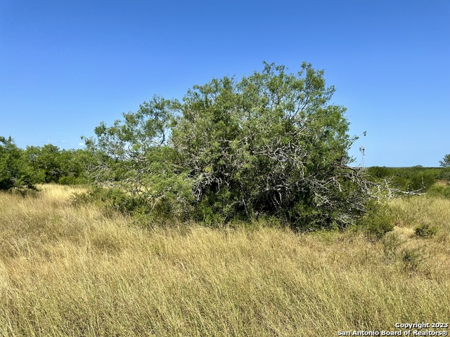 O County Road 116 Property Photo 21