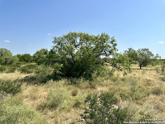 O County Road 116 Property Photo 26