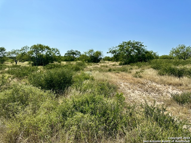 O County Road 116 Property Photo 28