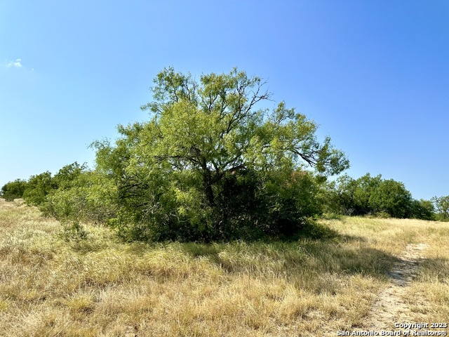 O County Road 116 Property Photo 32