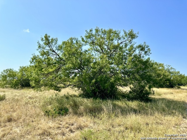 O County Road 116 Property Photo 33