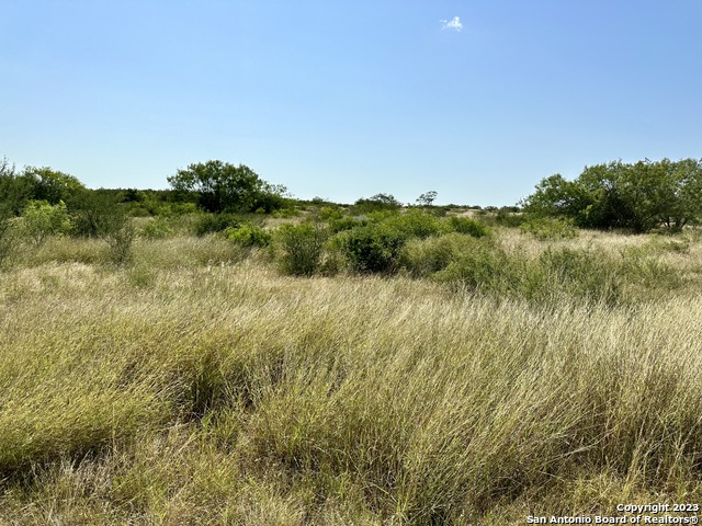 O County Road 116 Property Photo 34