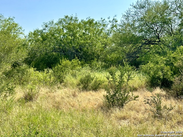 O County Road 116 Property Photo 40