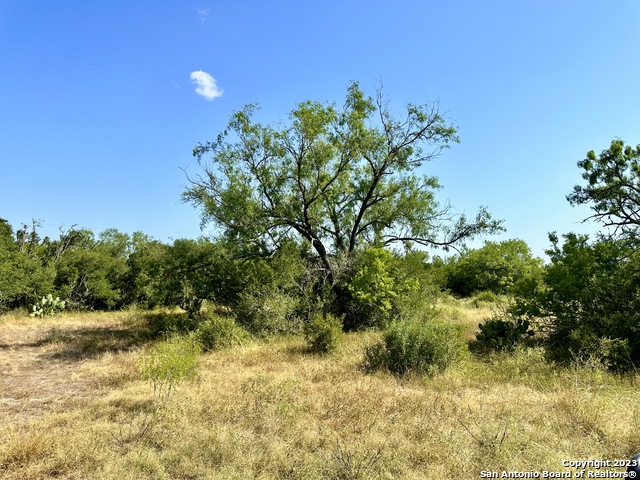 O County Road 116 Property Photo 42