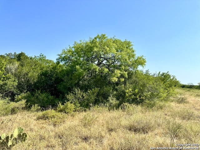 O County Road 116 Property Photo 45