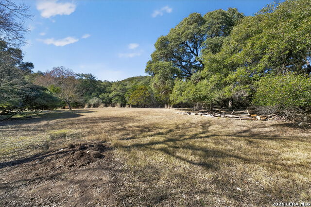 218 Whitworth Property Photo 6