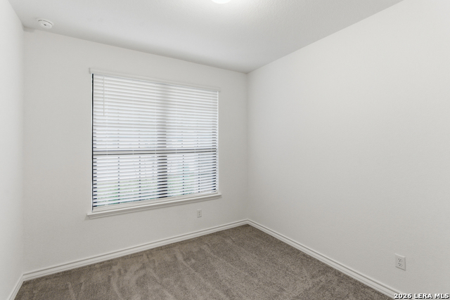 4056 Paddock Trail Property Photo 11