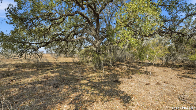 Tbd Hohn Road Property Photo 1