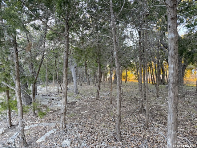 209 Legacy Property Photo 1