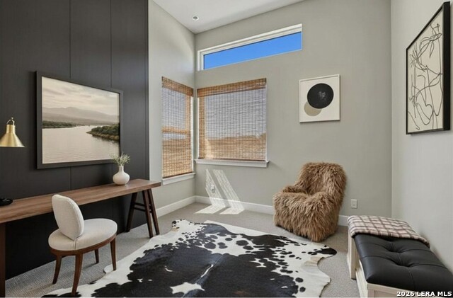 305 Fandango Property Photo 6