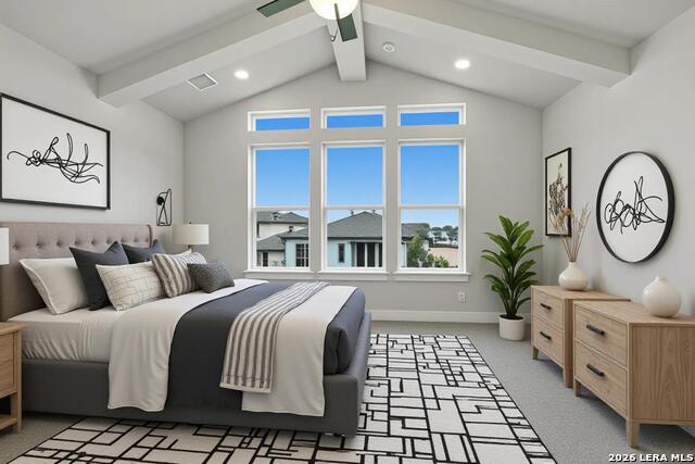 305 Fandango Property Photo 7