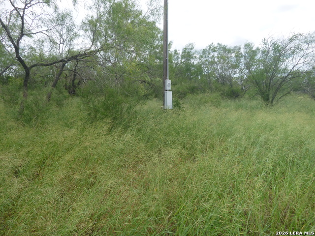 4253 E Fm 462 Property Photo 1