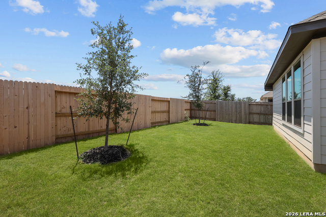 12514 Sylvanite Property Photo 31