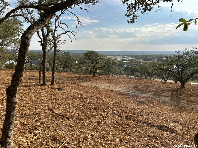 34780 Ansley Ridge Property Photo 6