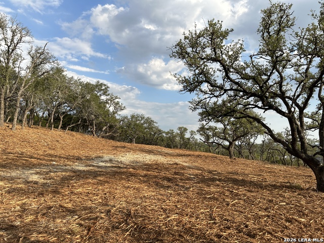 34780 Ansley Ridge Property Photo 8