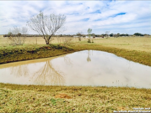 1725 Fm 2504 Property Photo 28