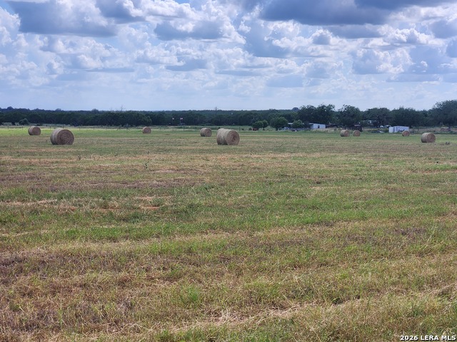 1725 Fm 2504 Property Photo 32