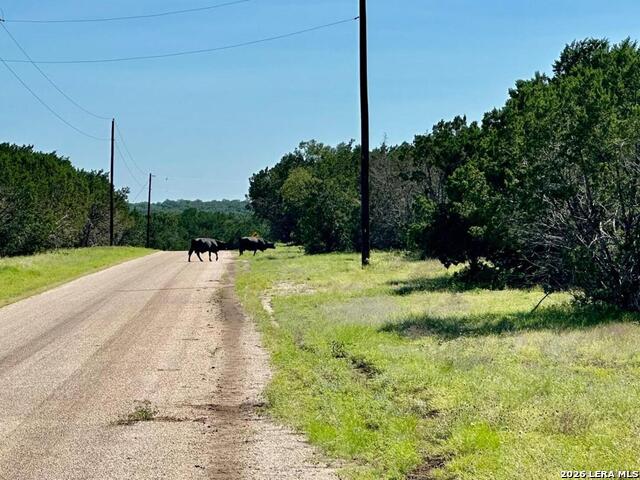 Lot 37 Starfall Property Photo 10