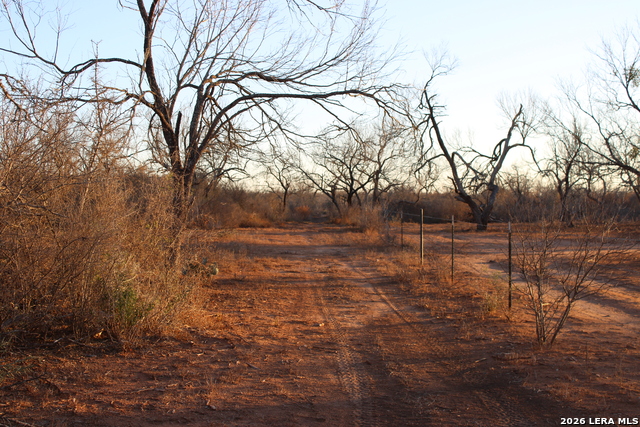 3103 W Fm 462 Property Photo 19