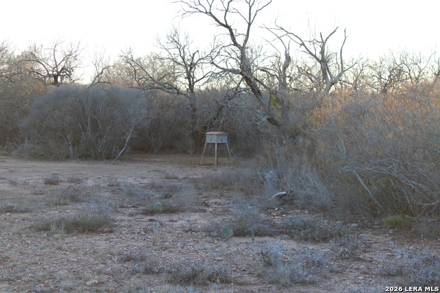 3103 W Fm 462 Property Photo 20
