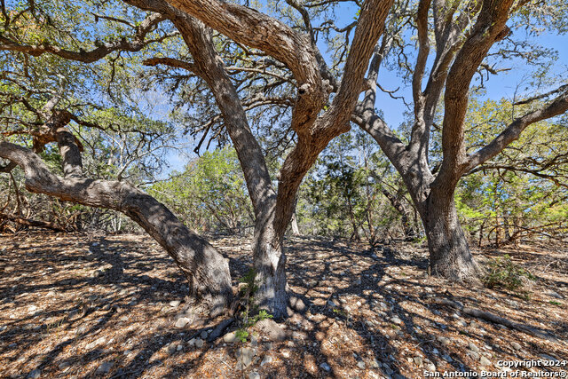 111 La Luna Drive Property Photo 16