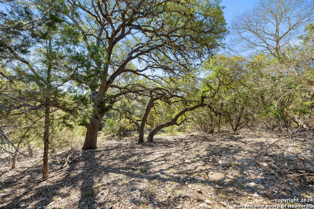111 La Luna Drive Property Photo 24