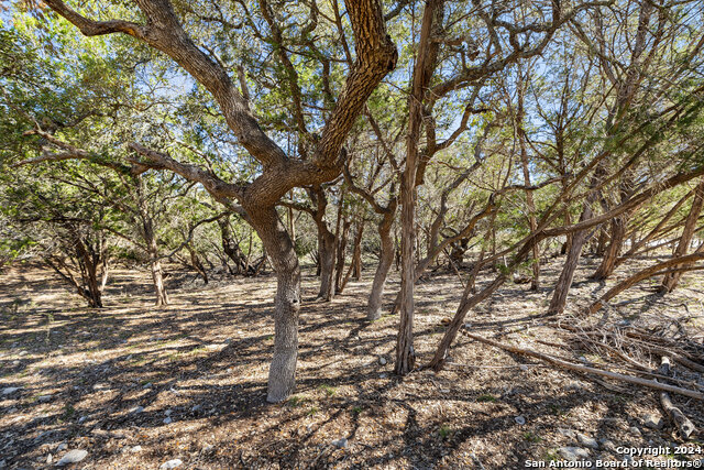 111 La Luna Drive Property Photo 26
