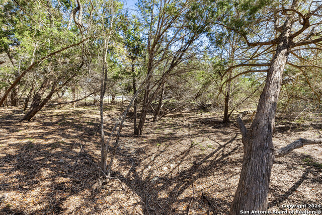 111 La Luna Drive Property Photo 27