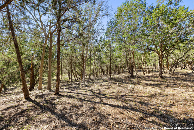 111 La Luna Drive Property Photo 31