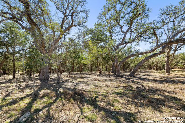 111 La Luna Drive Property Photo 33