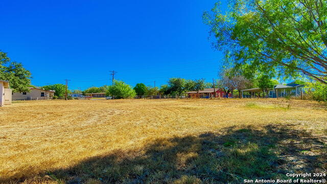 910 Plum St Property Photo 25