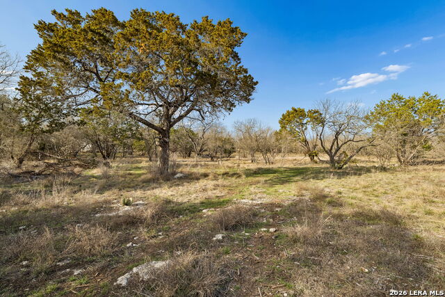 1934 Paradise Property Photo 10