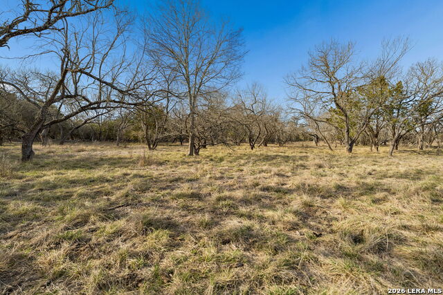 1934 Paradise Property Photo 12