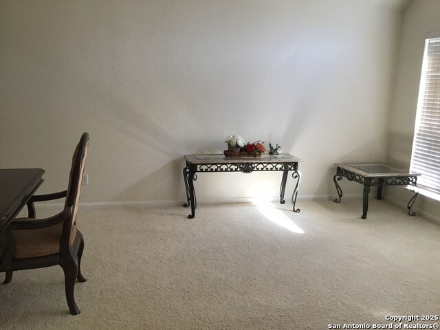 9615 Rocksprings Property Photo 2
