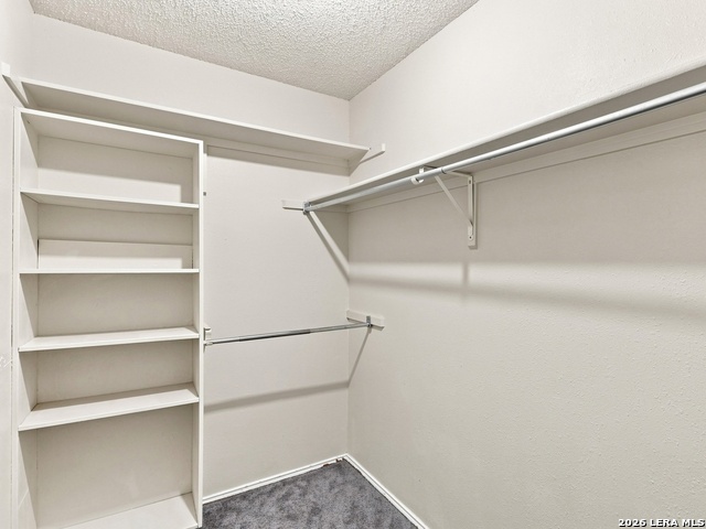 5611 Timber Jack Property Photo 23