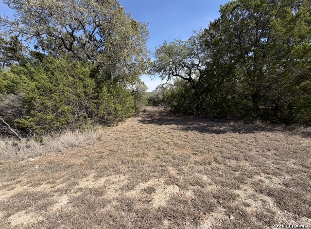 310 Spring Property Photo 1