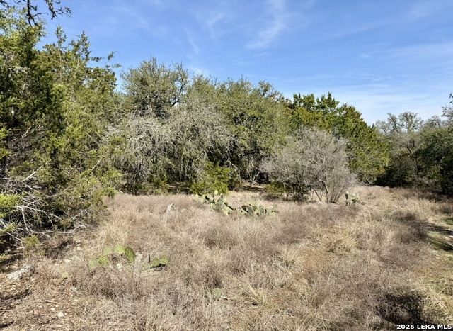 310 Spring Property Photo 5