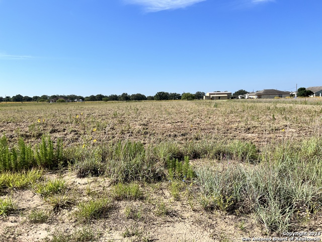 148 Colt Property Photo 5